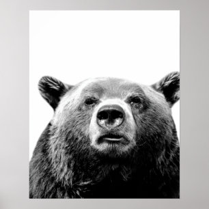 Black white bear woodland animal peekaboo photo poster