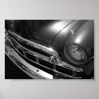 Black & White Beauty Poster