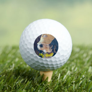 Black & white Bernedoodle dog in yellow golf hat. Golf Balls