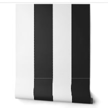 Black & White Bold Deckchair Cabana Stripe