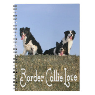 Black & White Border Collie Puppy Dog Love Journal