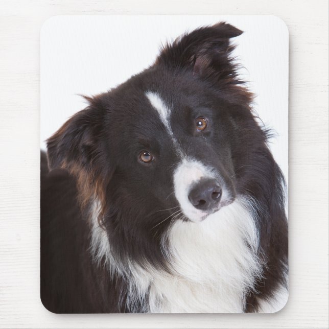 Black & White Border Collie Puppy Dog Mousepad (Front)