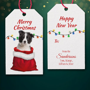 Black White Border Collie Puppy in Santa Bag Gift Tags