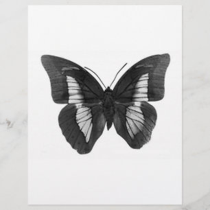 Black & White Butterfly Flyer