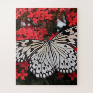 Black & White Butterfly on Red Flowers Jigsaw Puzzle
