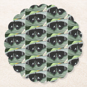 Black & White Butterfly Paper Coaster