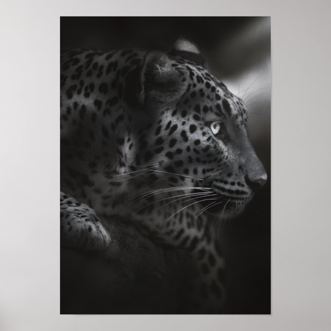 Black&white canva poster (Front)