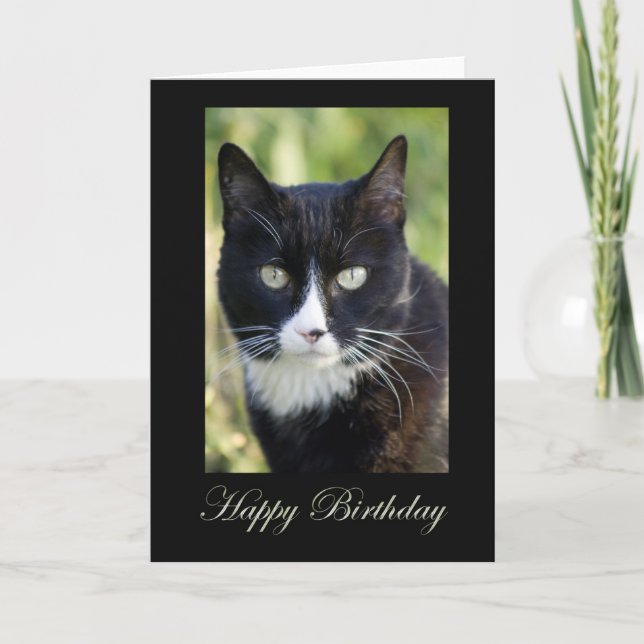Black & White Cat, blank birthday card (Front)