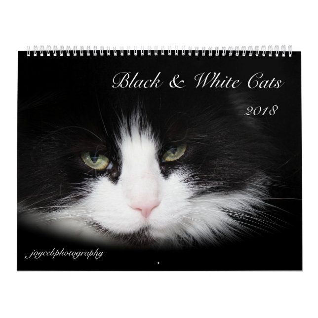 BLACK & WHITE CATS 2018 CALENDAR (Cover)