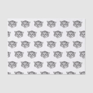 Black & White Cats Tissue Paper