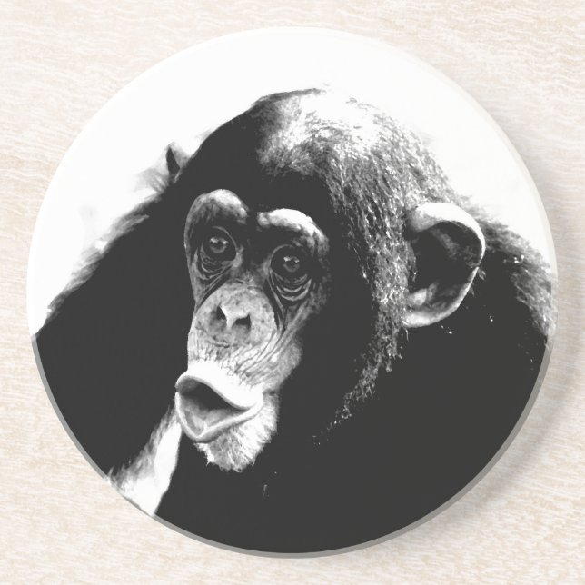 Black White Chimpanzee Coaster (Front)
