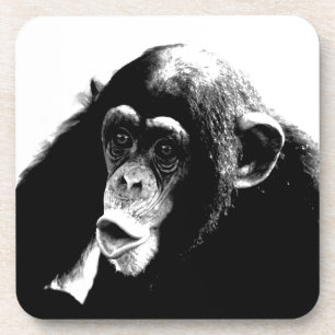 Black White Chimpanzee Coaster