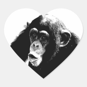 Black White Chimpanzee Heart Sticker