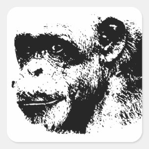Black & White Chimpanzee Pop Art Square Sticker