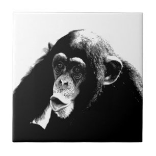 Black White Chimpanzee Tile