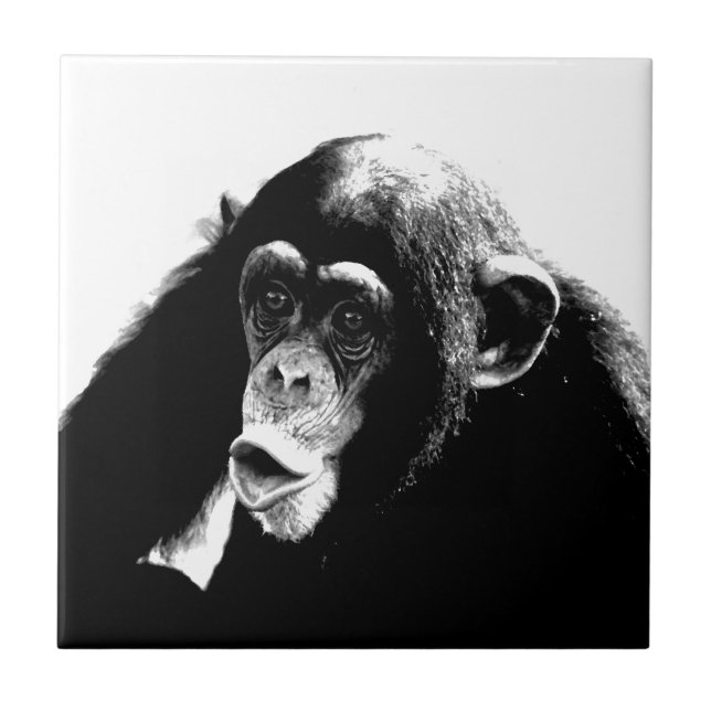 Black White Chimpanzee Tile (Front)