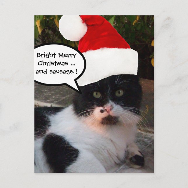 BLACK WHITE CHRISTMAS CAT WITH SANTA CLAUS HAT HOLIDAY POSTCARD (Front)