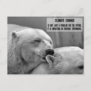 Black & white Climate change with polar bears Postcard