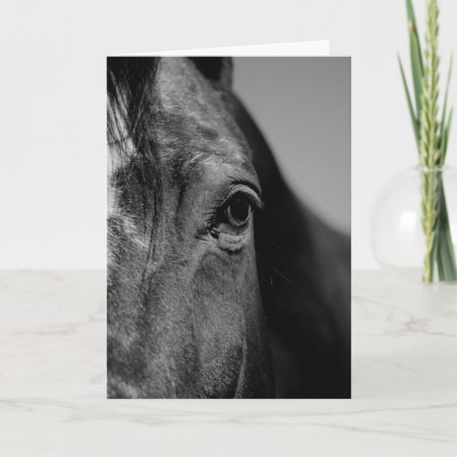 Black & White Close-up Horse Eye Artwork Card (Front)