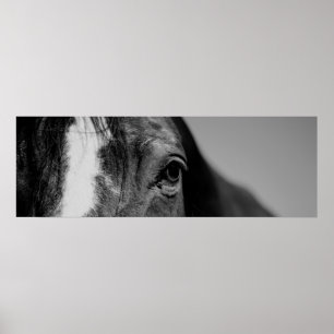 Black & White Close-up Horse Eye Poster