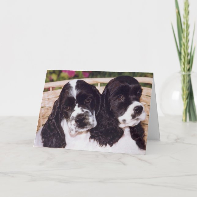 Black & White Cocker puppy card (Front)