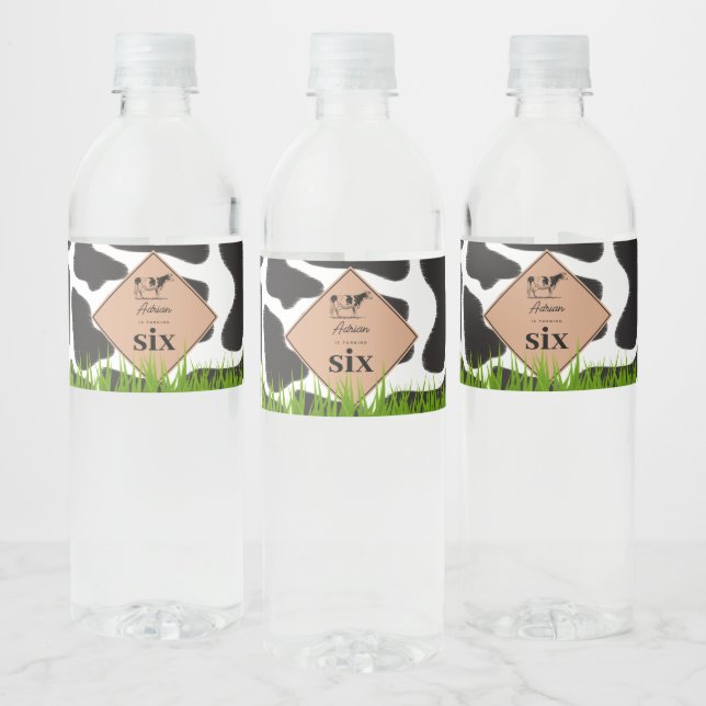 Black & White Cow Farm Animal Birthday Party Theme Water Bottle Label (Bottles)