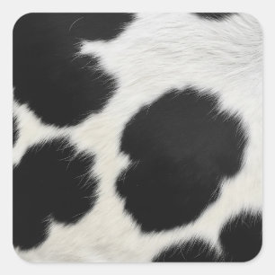 black white cow texture fur skin leather animal ha square sticker