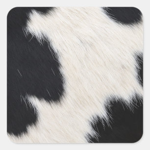 black white cow texture fur skin leather animal ha square sticker