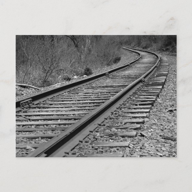 Black & White Curved Train Tracks Postcard (Front)