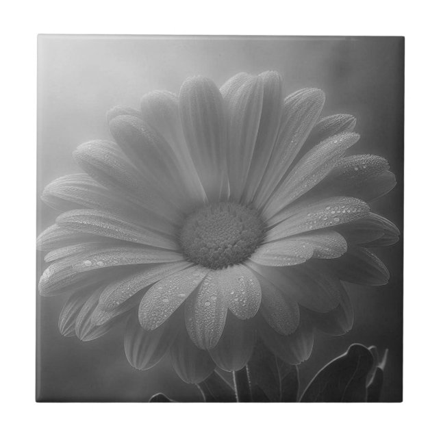 Black & White Daisy  Ceramic Tile (Front)