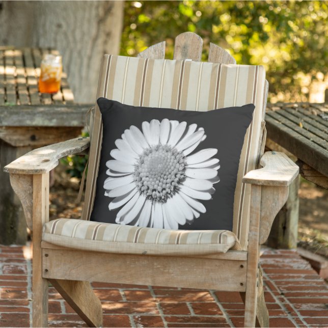 Black White Daisy Floral Art Botanical Photography Cushion (Chair)