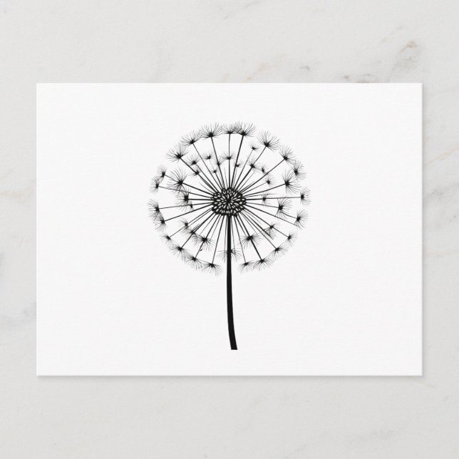Black White Dandelion Line Art Postcard (Front)
