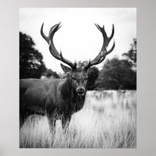 Black White Deer Cabin Decor Forest Woodland