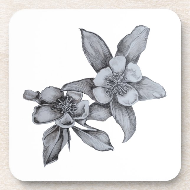 Black & White Drawing Columbines  Coaster (Front)