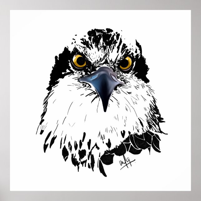 Black White Drawing of an Osprey "King of Birds" Poster (Front)