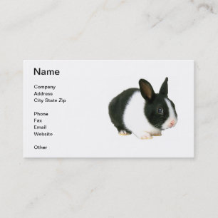 Black & White Dwarf Bunny Rabbit Business Card