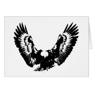 Black & White Eagle