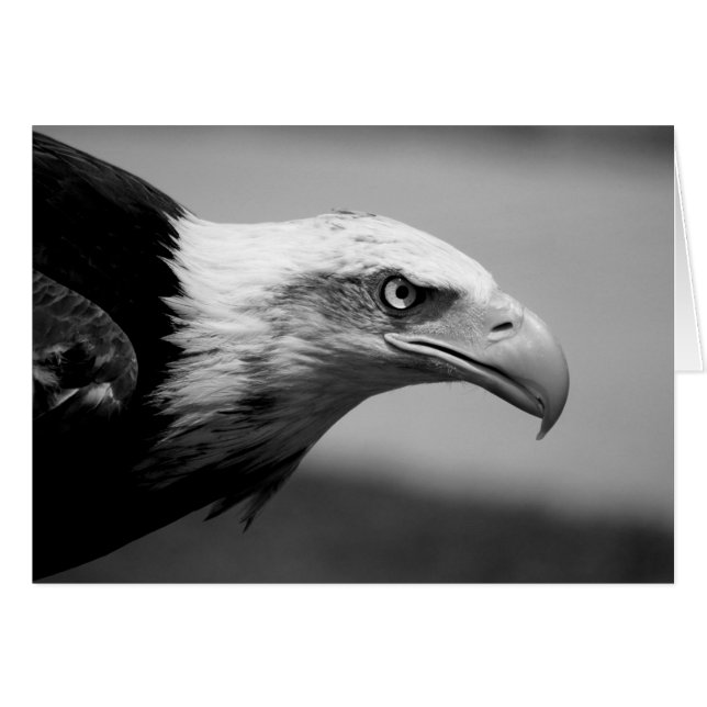 Black & White Eagle Eye (Front Horizontal)