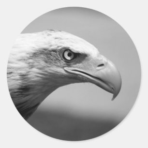 Black & White Eagle Eye Classic Round Sticker