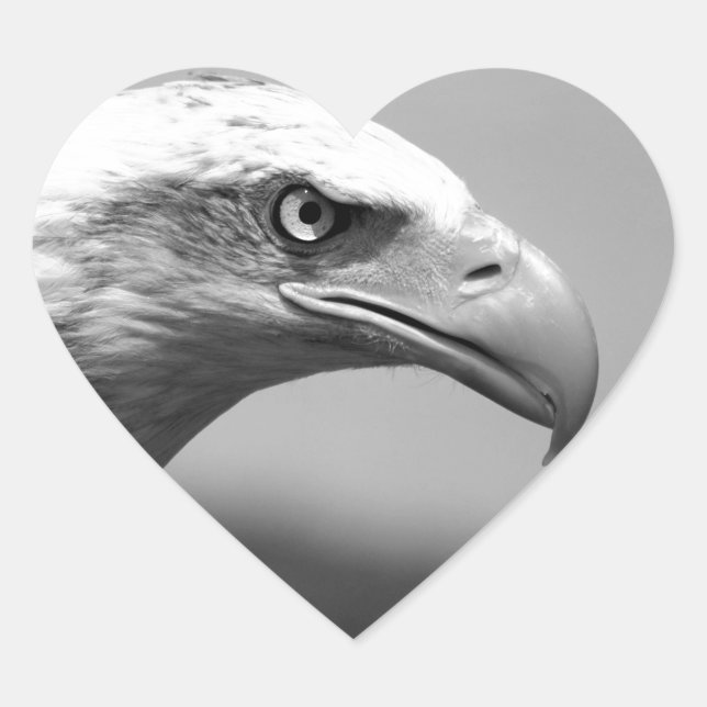 Black & White Eagle Eye Heart Sticker (Front)