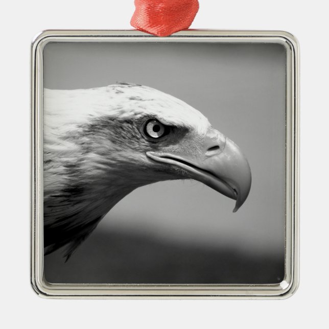 Black & White Eagle Eye Metal Tree Decoration (Front)