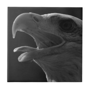 Black & White Eagle Tile