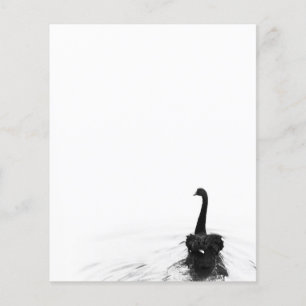 Black & White Elegant Black Swan