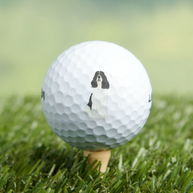 Black & White English Springer Spaniel Golf Balls (Insitu Tee)
