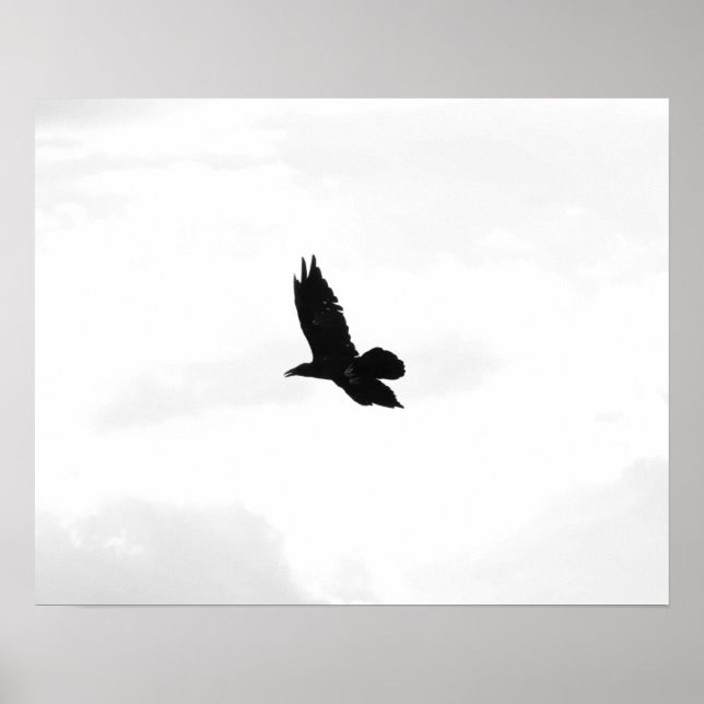 Black & White Flying Black Raven 16x20 Poster (Front)