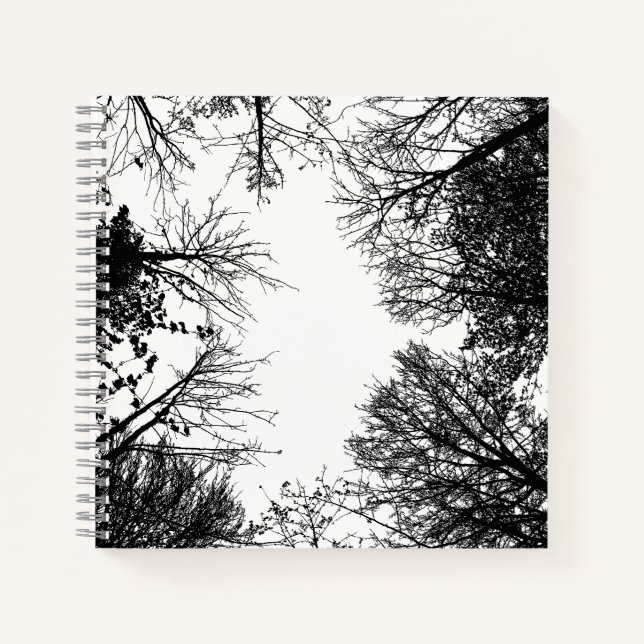 Black & White Forest Canopy Notebook (Front)