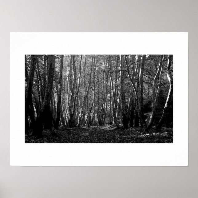 Black & White Forest Path Poster Print (Front)