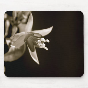 Black/White Fuschia Mousepad