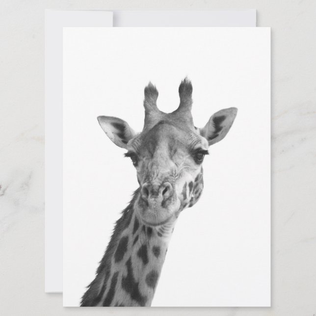 Black & White Giraffe (Front)