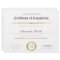 Black White Gold Certificate of Completion Award